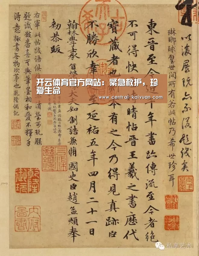 开云体育官网