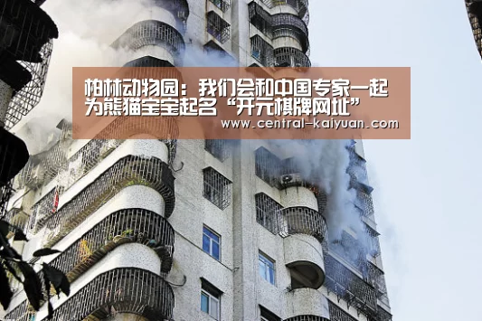 柏林动物园：我们会和中国专家一起为熊猫宝宝起名“开元棋牌网址