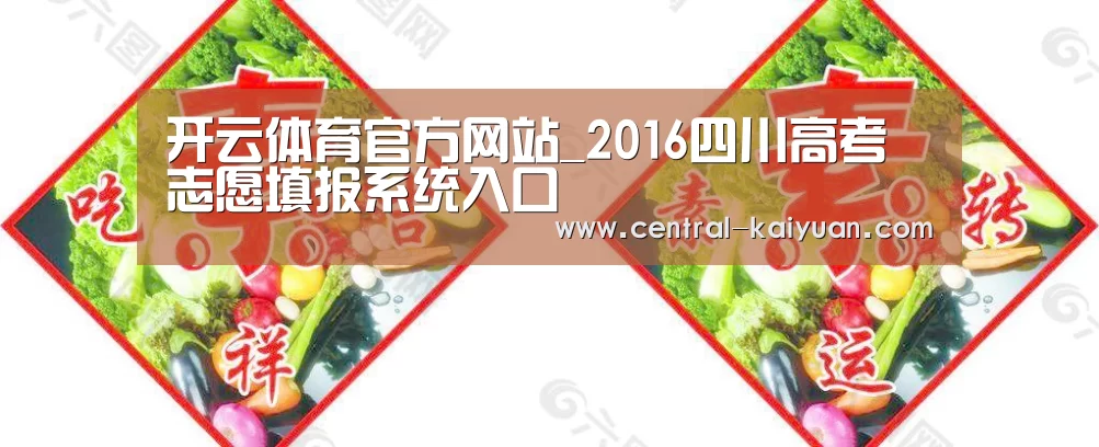 开云体育官方网站