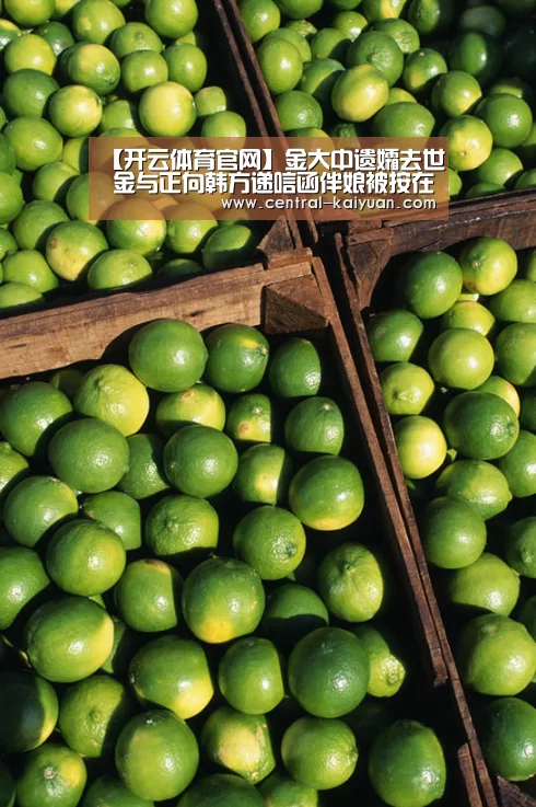 开云体育官网